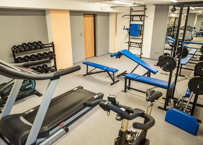 Na Vyvoji Hotel Vlasim